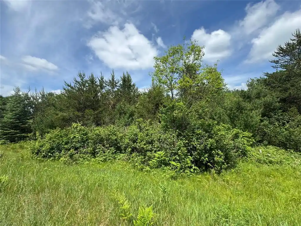 Homes for sale in Springbrook, WI | N 6398 Fred Tripp Road Road, Springbrook, WI 54875 | MLS# 1602077