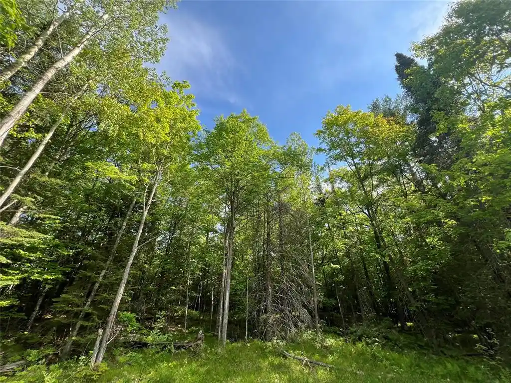 Photo 25 of Sale Pending at 7151 E County Road A, Solon Springs, WI 54873 | MLS# 1602028 | Listing updated on 2026-09-06