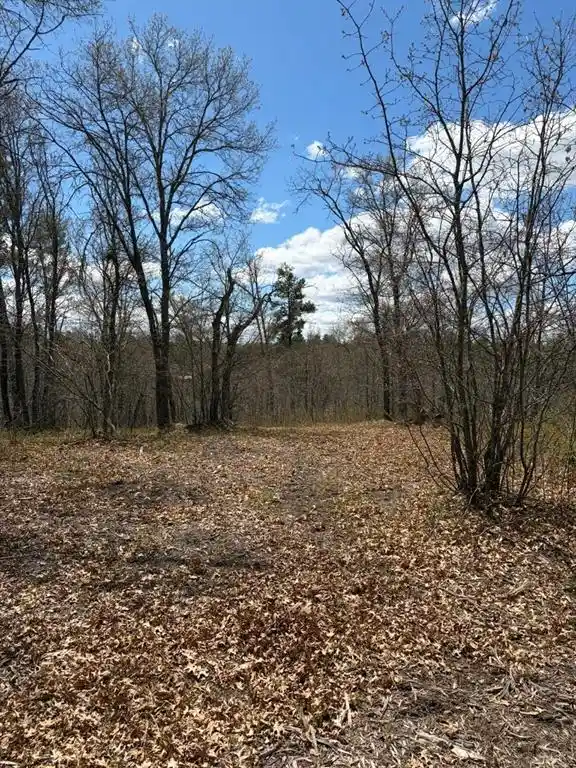 Homes for sale in Minong, WI | Lot 2 Sleepy Eye Road Road, Minong, WI 54859 | MLS# 1602148