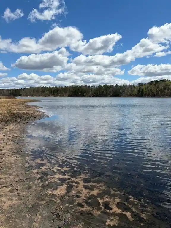 Homes for sale in Minong, WI | Lot 2 Sleepy Eye Road Road, Minong, WI 54859 | MLS# 1602148