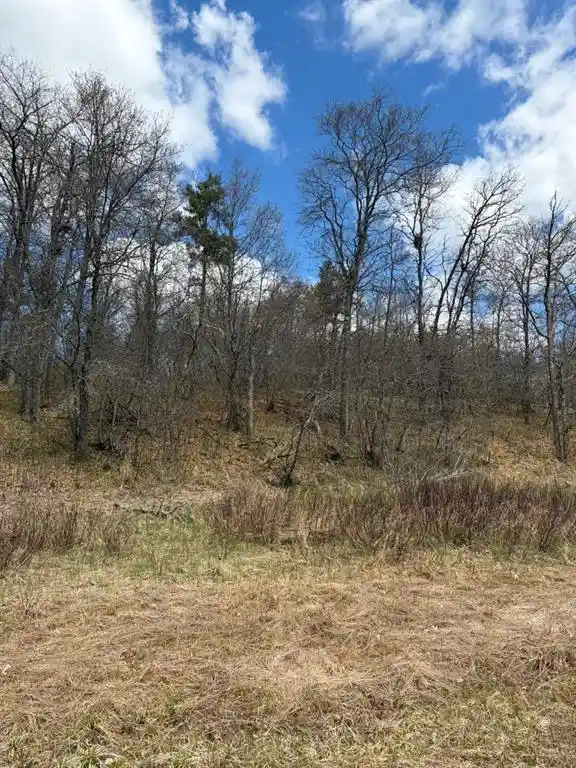 Homes for sale in Minong, WI | Lot 2 Sleepy Eye Road Road, Minong, WI 54859 | MLS# 1602148