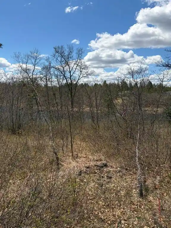 Homes for sale in Minong, WI | Lot 2 Sleepy Eye Road Road, Minong, WI 54859 | MLS# 1602148