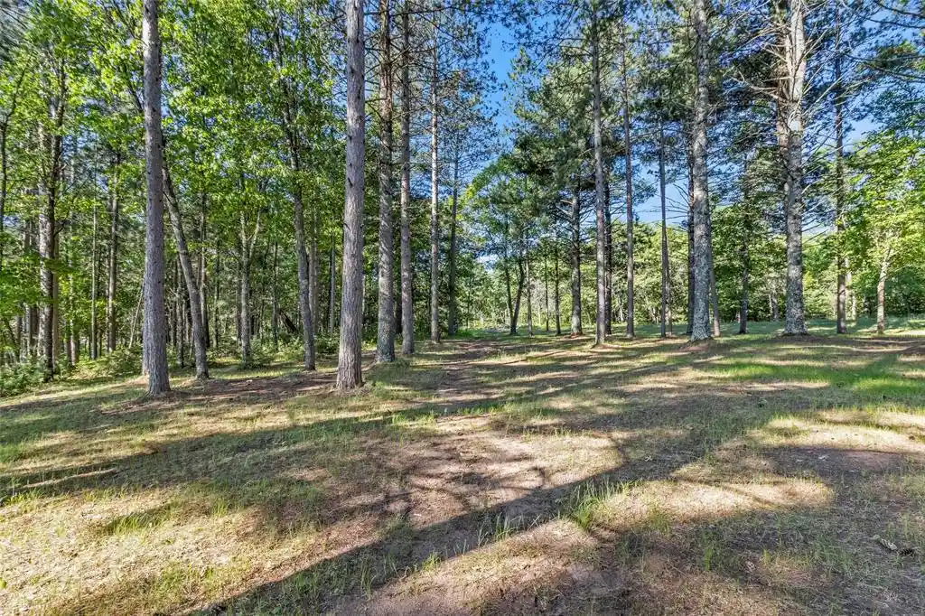 Homes for sale in Barnes, WI | 51690 Birch Lake Road, Barnes, WI 54873 | MLS# 1602031