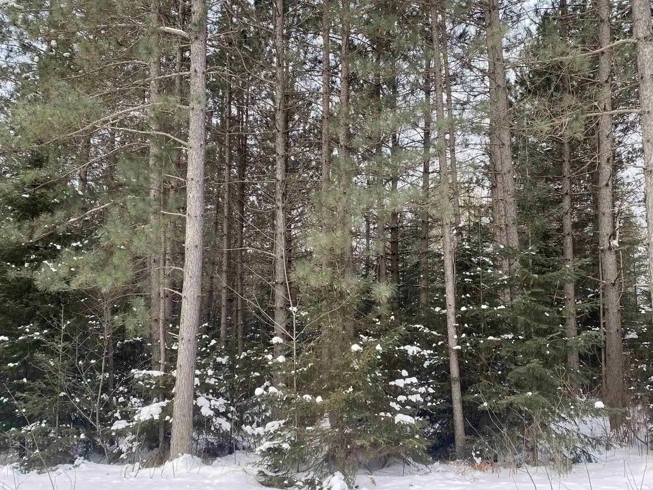 Homes for sale in Tomahawk, WI | On Wilson School Road Road, Tomahawk, WI 54487 | MLS# 22602637