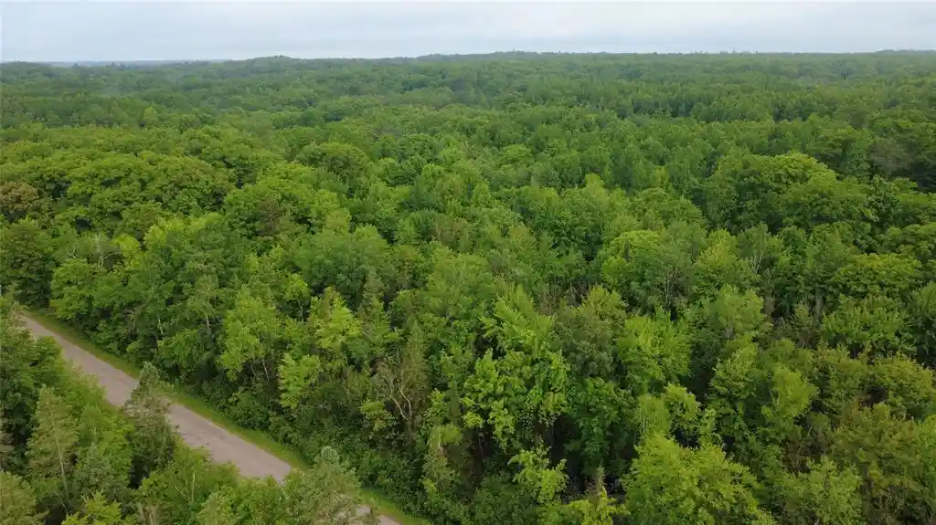 Homes for sale in Ringle, WI | 000 Boundary Road, Ringle, WI 54471 | MLS# 1602184