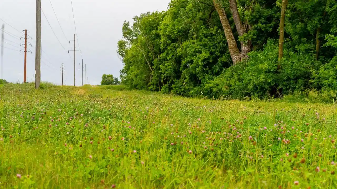 Homes for sale in Fox Lake, WI | N9667 County C Road Road, Fox Lake, WI 53933 | MLS# 2025669