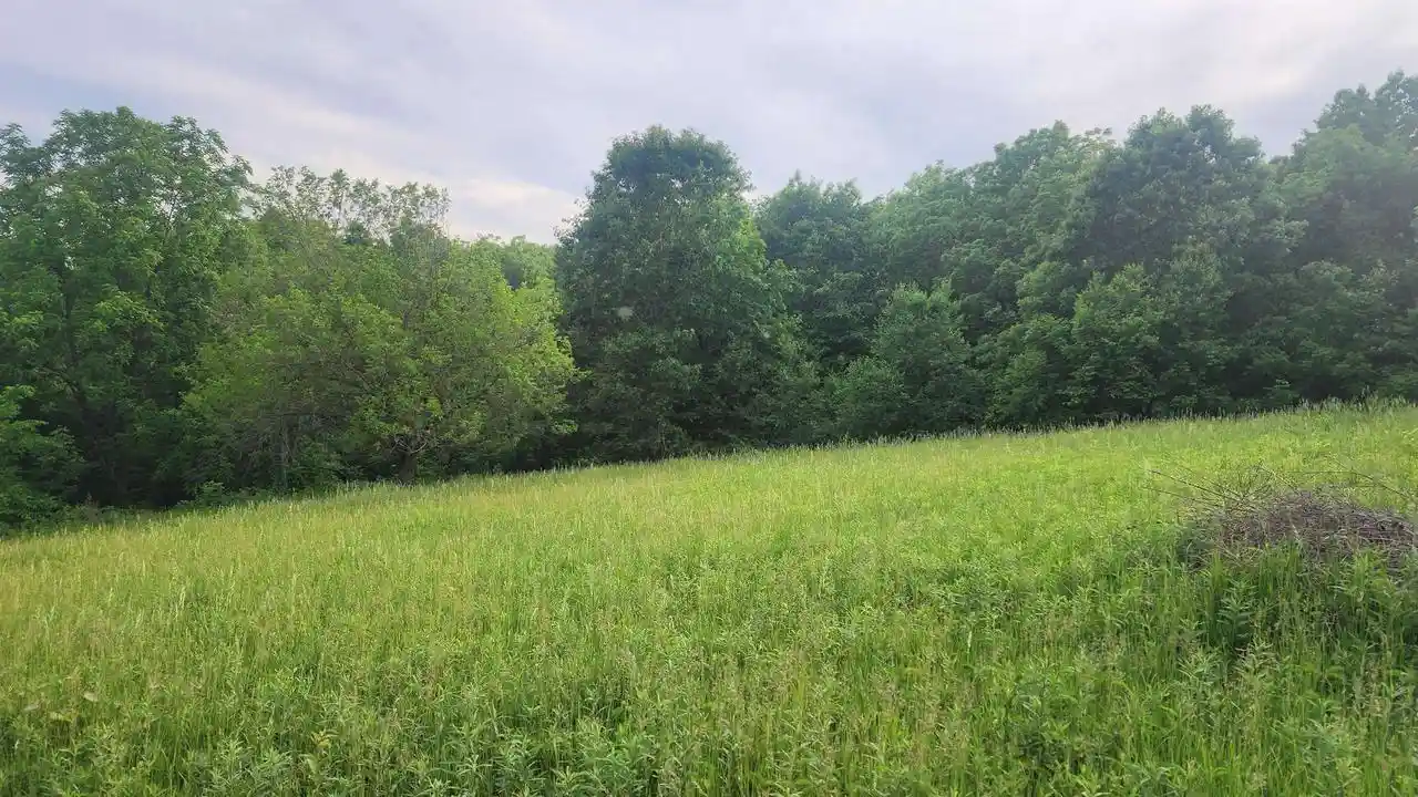 Homes for sale in Bagley, WI | 0000 Mississippi Lane Road Road, Bagley, WI 53801 | MLS# 2025674