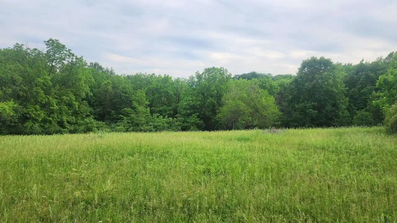 Homes for sale in Bagley, WI | 0000 Mississippi Lane Road Road, Bagley, WI 53801 | MLS# 2025674