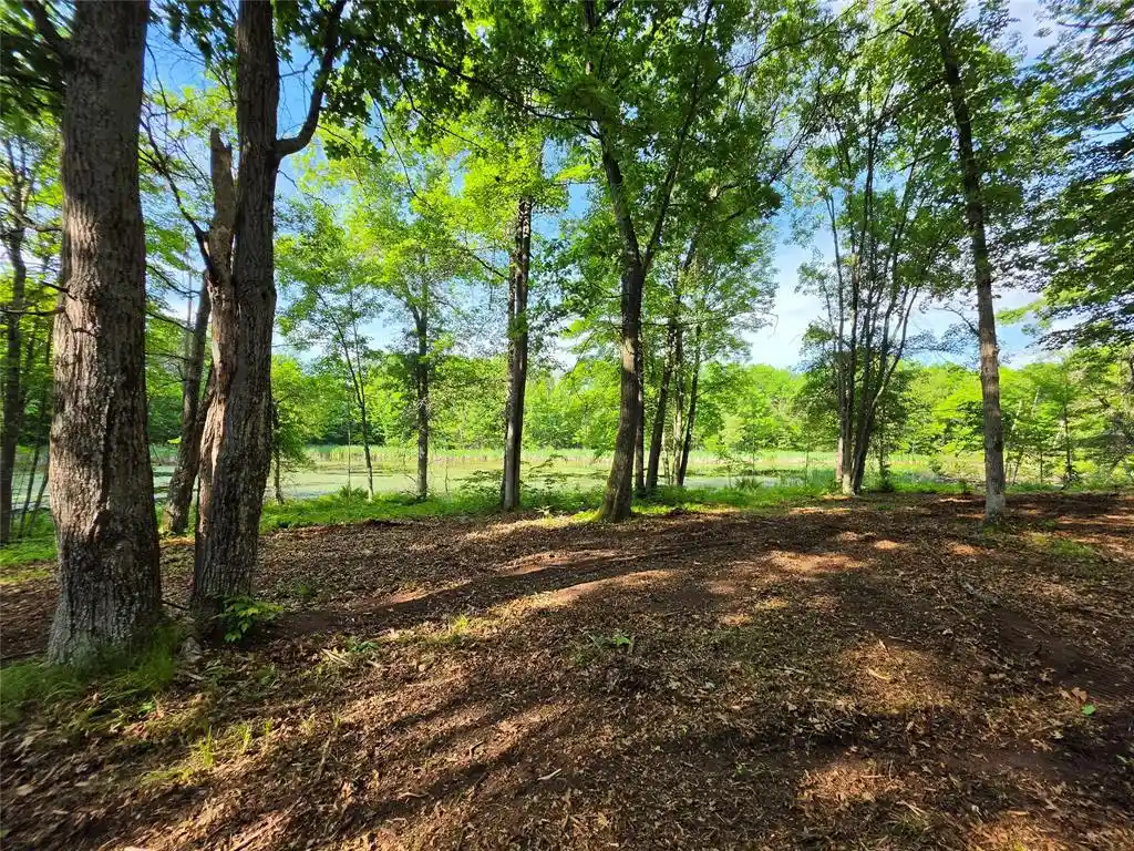 Homes for sale in Holcombe, WI | 27646 295th Ave Lot 14 Avenue Avenue, Holcombe, WI 54745 | MLS# 1602155
