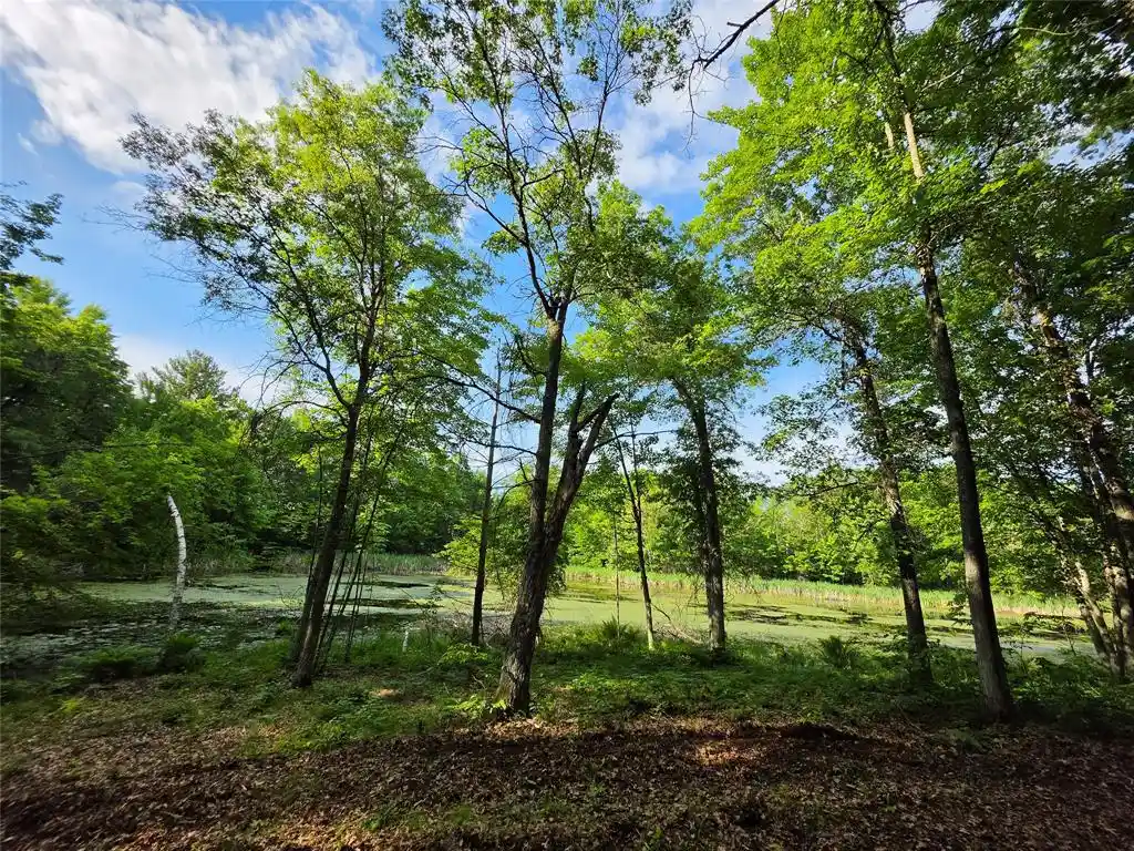 Homes for sale in Holcombe, WI | 27646 295Th Ave Lot 14 Avenue Avenue, Holcombe, WI 54745 | MLS# 1602155