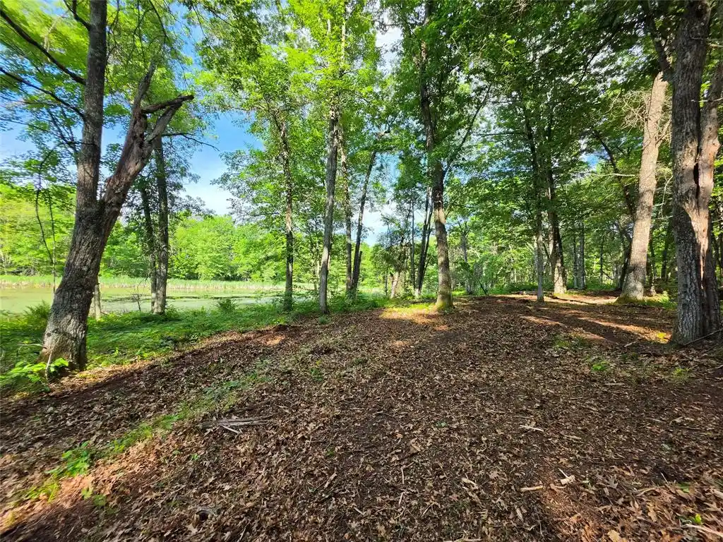 Homes for sale in Holcombe, WI | 27646 295Th Ave Lot 14 Avenue Avenue, Holcombe, WI 54745 | MLS# 1602155
