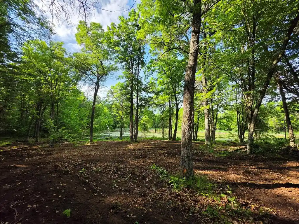 Homes for sale in Holcombe, WI | 27646 295th Ave Lot 14 Avenue Avenue, Holcombe, WI 54745 | MLS# 1602155