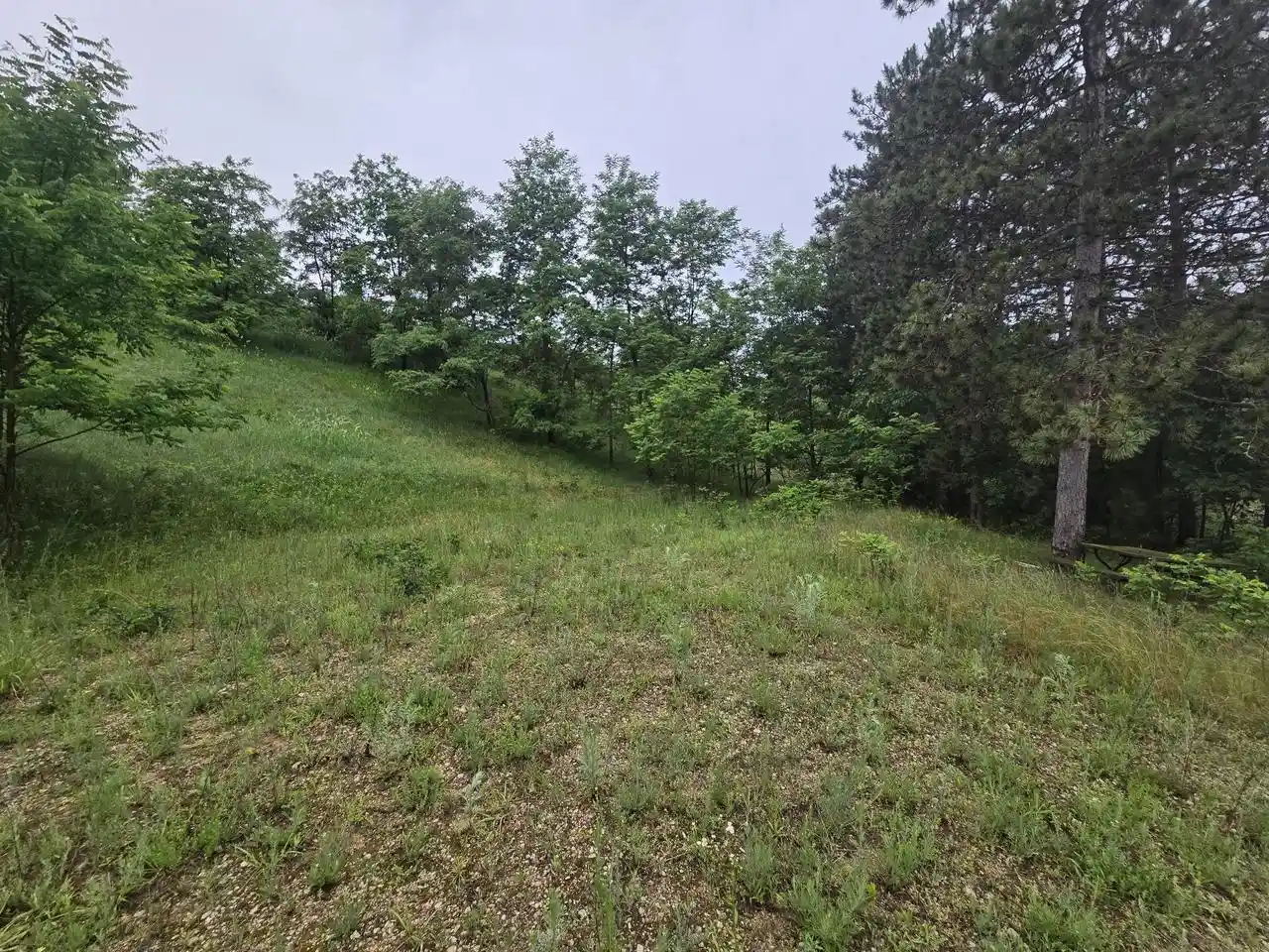 Homes for sale in Warrens, WI | 255 Blossom Dr Dr, Warrens, WI 54666 | MLS# 1966908
