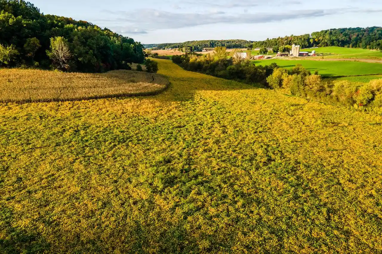 Photo 2 of Land for sale at Lt3 Eli Valley Road Road, Loganville, WI 53943 | MLS# 1966916 | Listing updated on 2026-10-01
