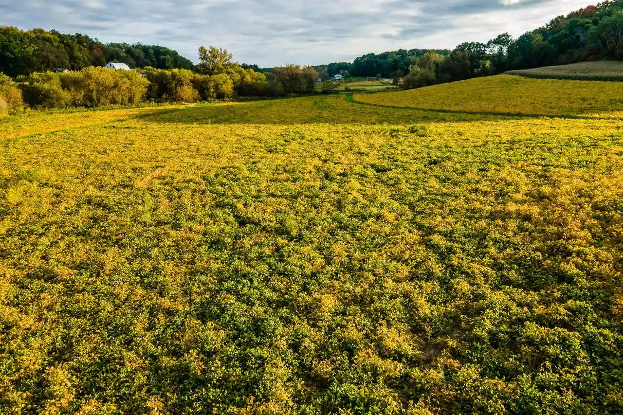 Photo 4 of Land for sale at Lt3 Eli Valley Road Road, Loganville, WI 53943 | MLS# 1966916 | Listing updated on 2026-10-01