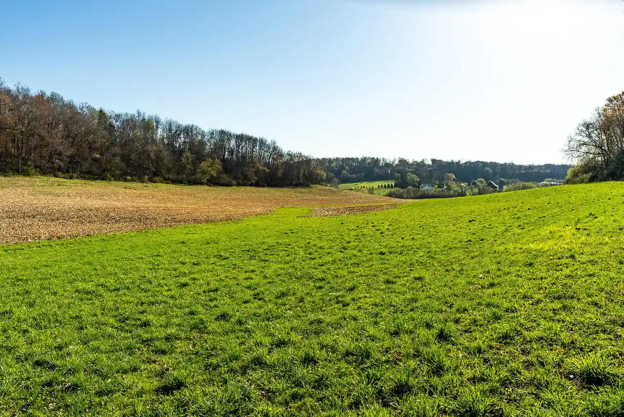 Photo 15 of Land for sale at Lt3 Eli Valley Road Road, Loganville, WI 53943 | MLS# 1966916 | Listing updated on 2026-10-01