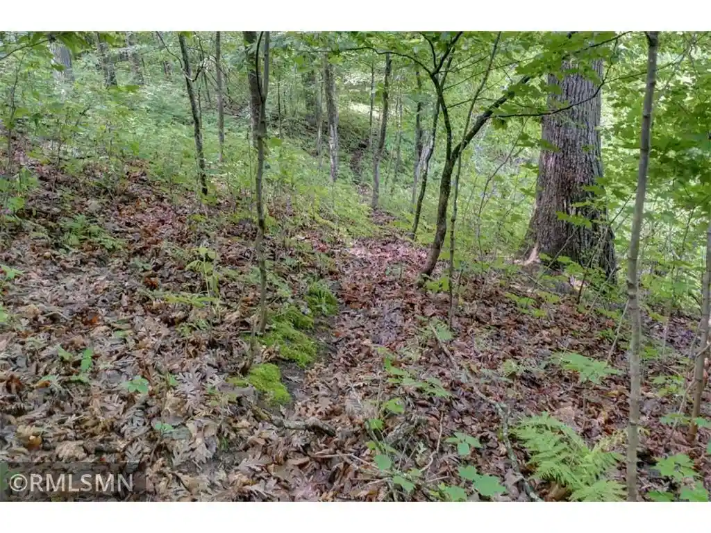 Homes for sale in Luck, WI | 124Xx N Gabrielson Lake Road Road, Luck, WI 54853 | MLS# 7089800