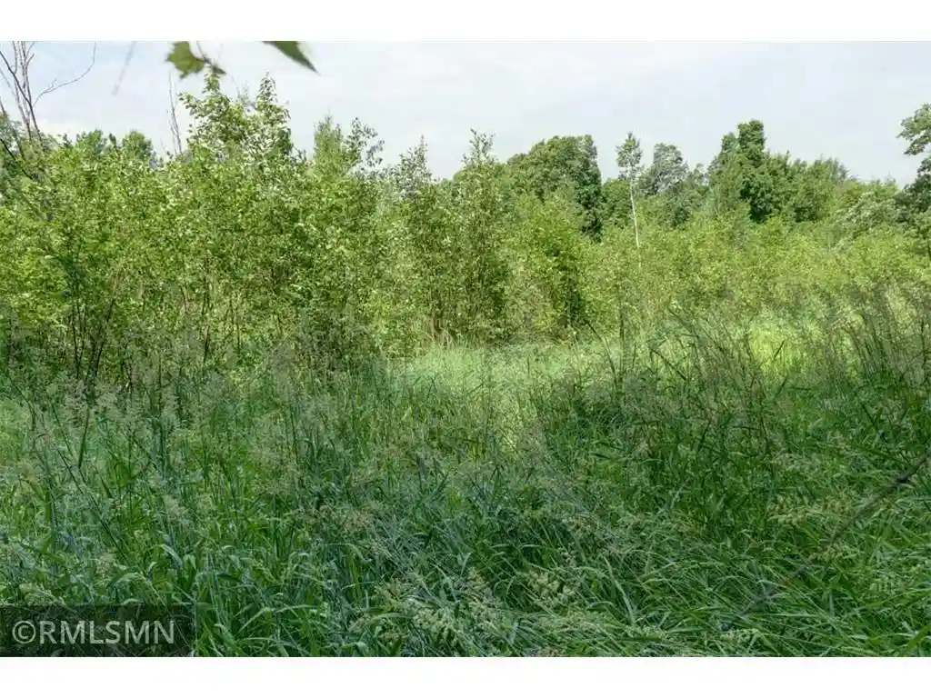 Homes for sale in Luck, WI | 124Xx N Gabrielson Lake Road Road, Luck, WI 54853 | MLS# 7089800