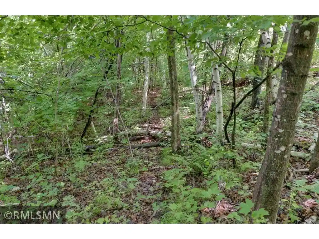Homes for sale in Luck, WI | 124Xx N Gabrielson Lake Road Road, Luck, WI 54853 | MLS# 7089800
