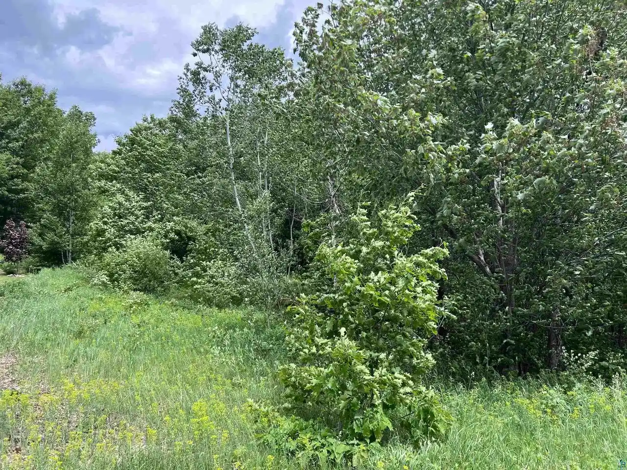Photo 2 of Land for sale at Xxx Rice Ave Ave, Bayfield, WI 54814 | MLS# 6126023 | Listing updated on 2026-08-03