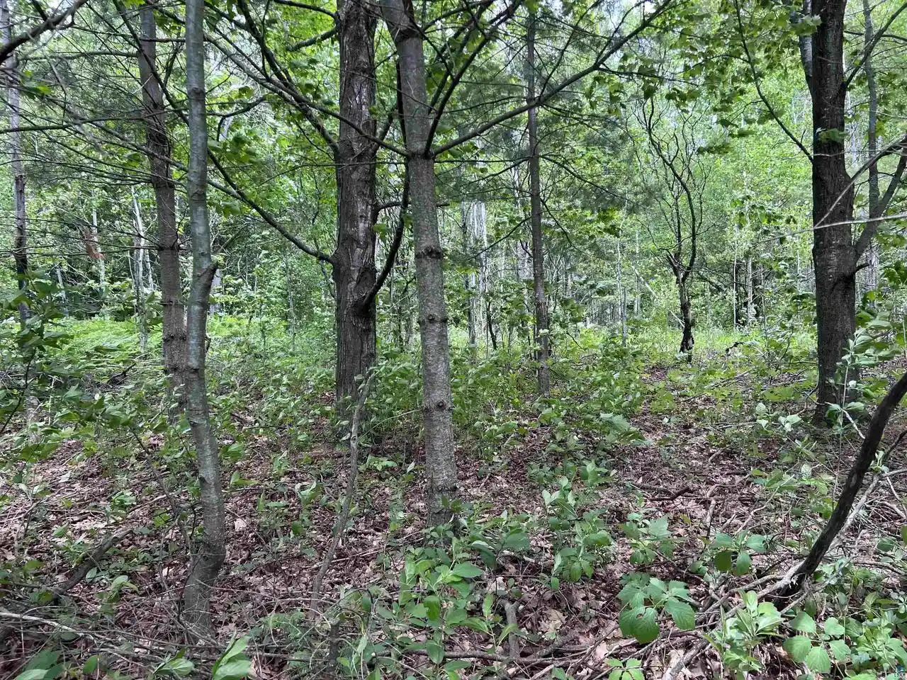 Photo 3 of Land for sale at Xxx Rice Ave Ave, Bayfield, WI 54814 | MLS# 6126023 | Listing updated on 2026-08-03