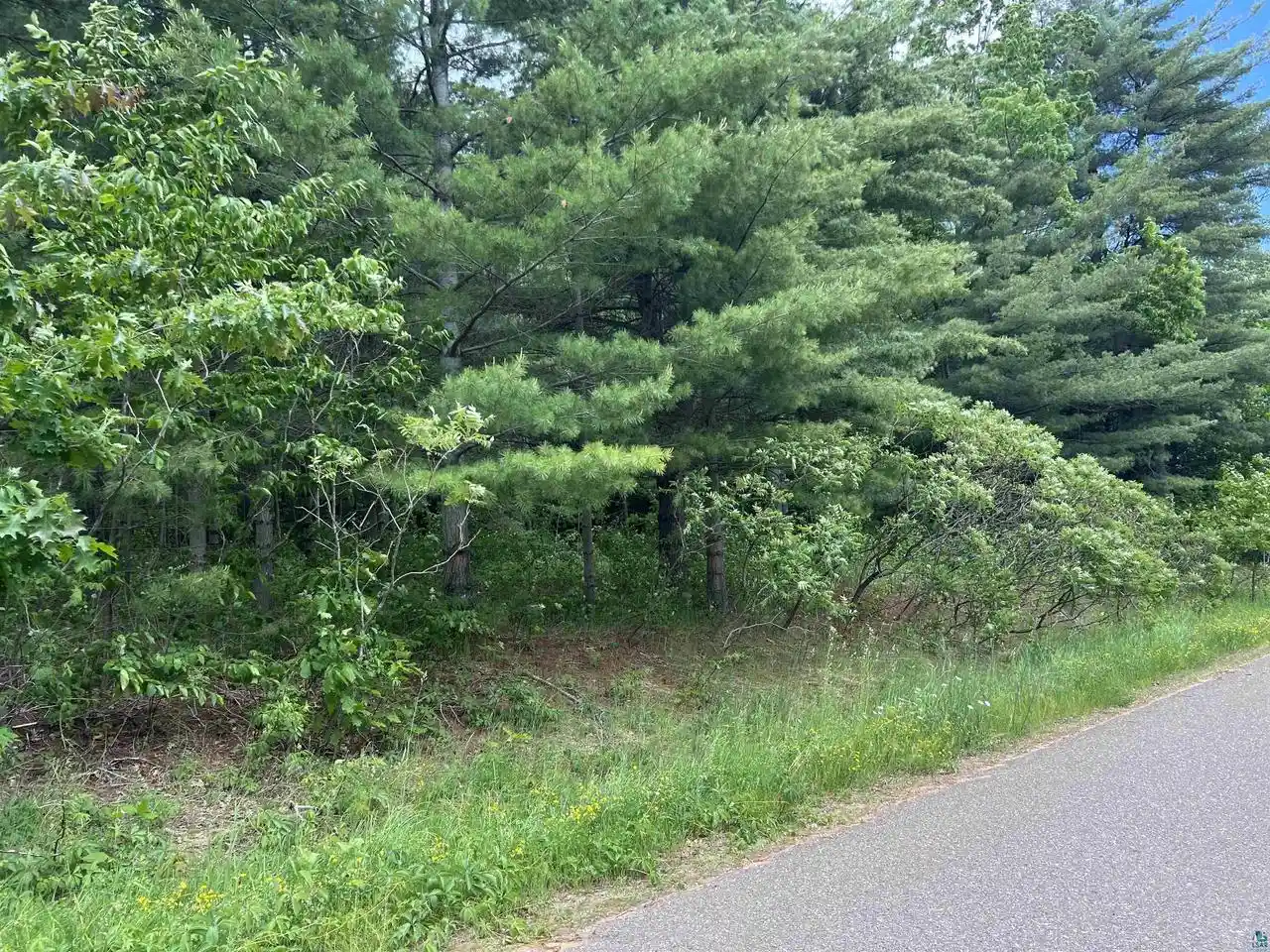 Photo 3 of Land for sale at Xxx Rice Ave Ave, Bayfield, WI 54814 | MLS# 6126023 | Listing updated on 2026-08-03