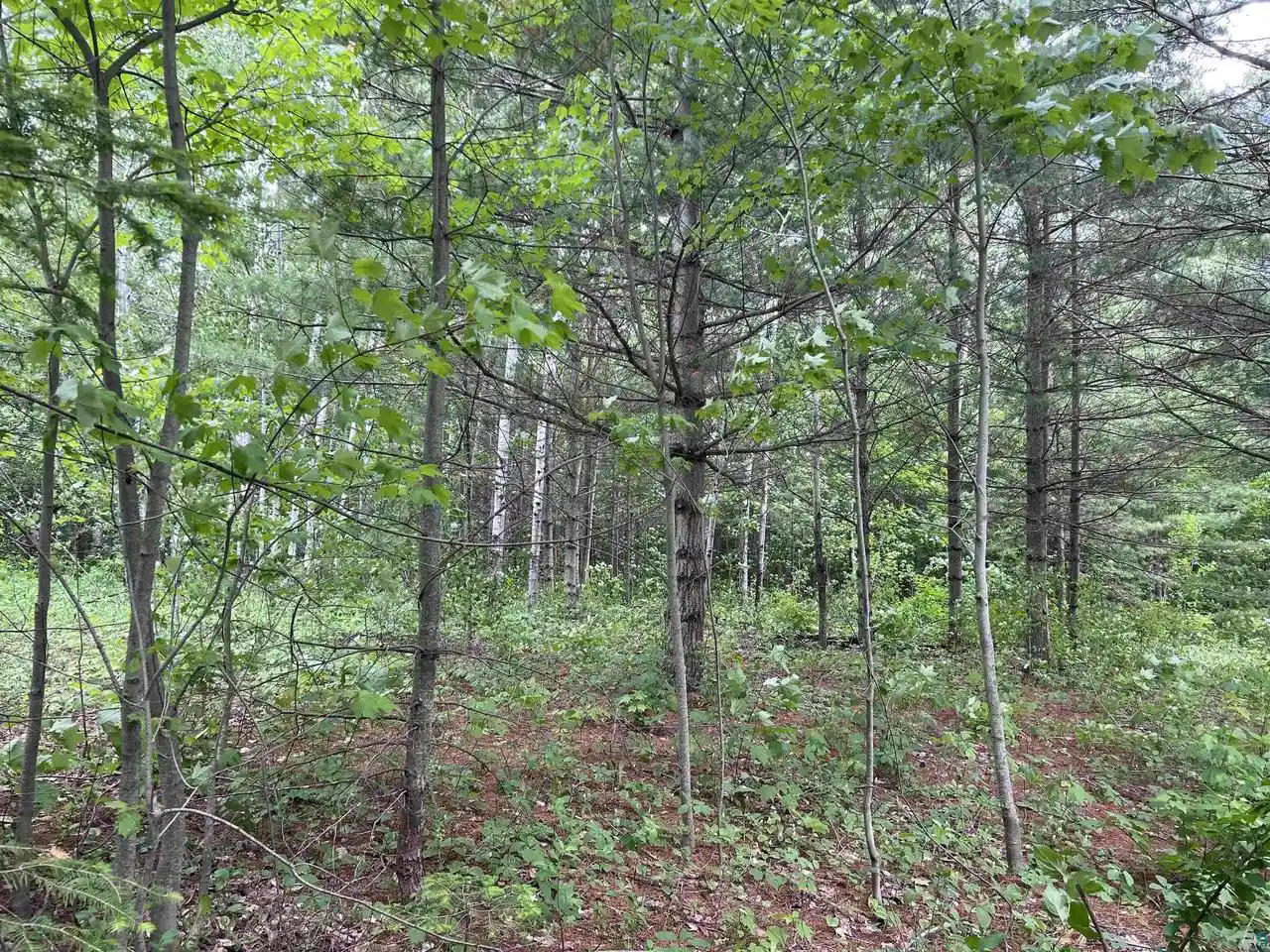 Photo 4 of Land for sale at Xxx Rice Ave Ave, Bayfield, WI 54814 | MLS# 6126023 | Listing updated on 2026-08-03