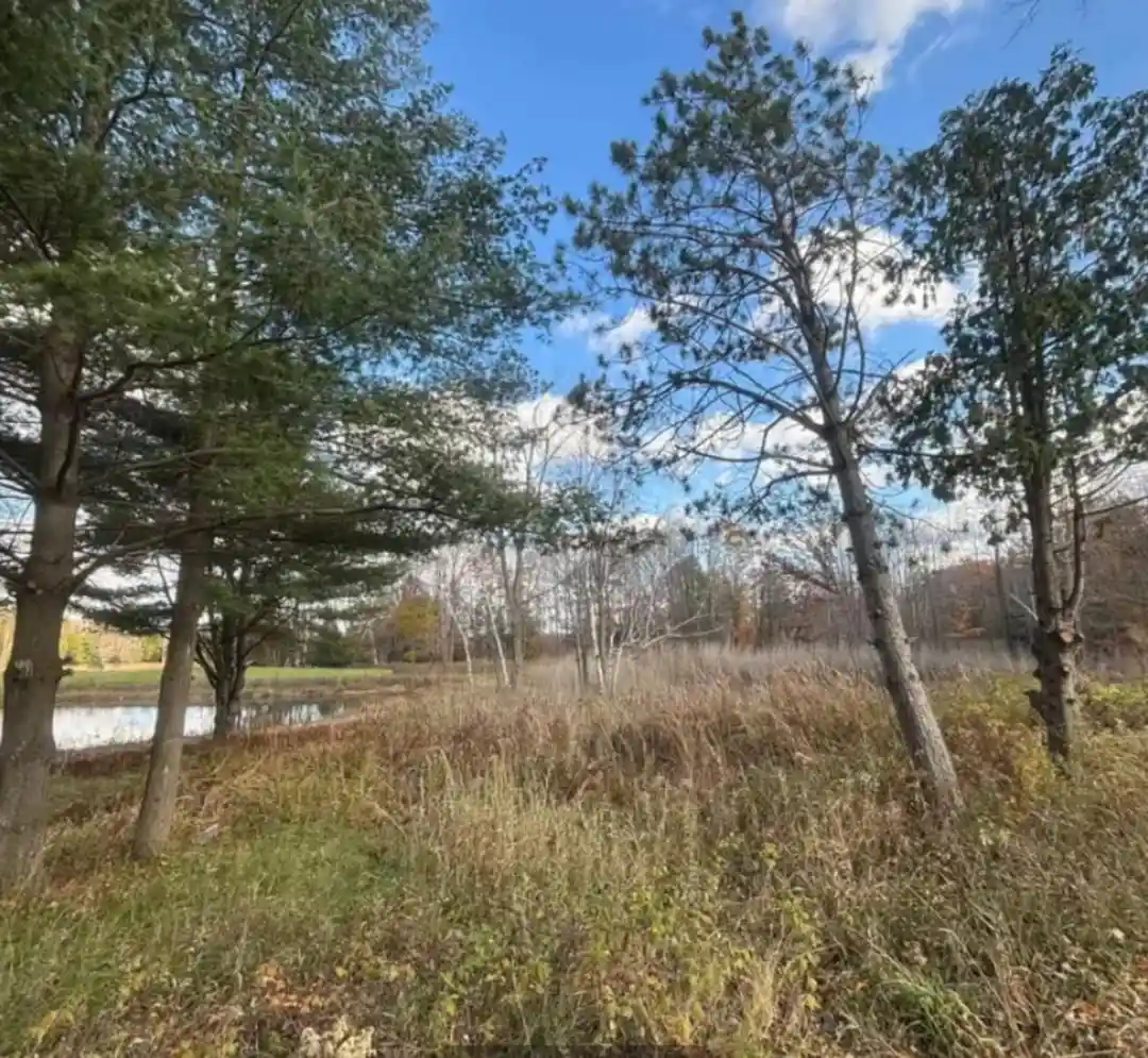 Homes for sale in Sobieski, WI | Spring Lake Dr Dr, Sobieski, WI 54171 | MLS# 50327383