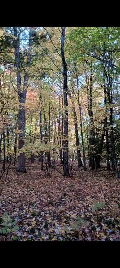 Photo 7 of Land for sale at Spring Lake Dr Dr, Sobieski, WI 54171 | MLS# 50327383 | Listing updated on 2026-10-03
