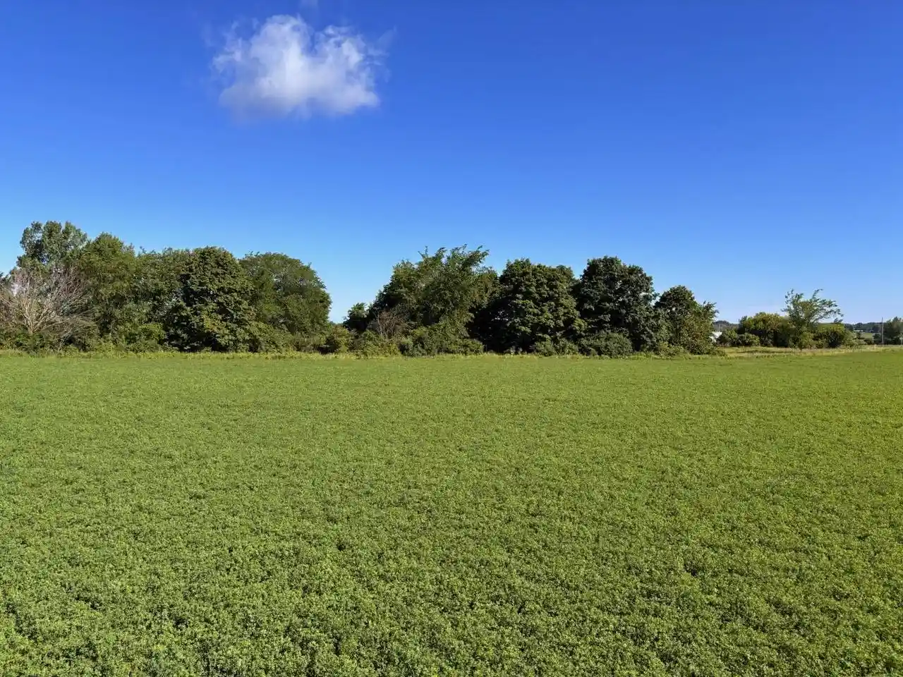 Homes for sale in Luxemburg, WI | E859 County Road S #Lt2, Luxemburg, WI 54217 | MLS# 1967121