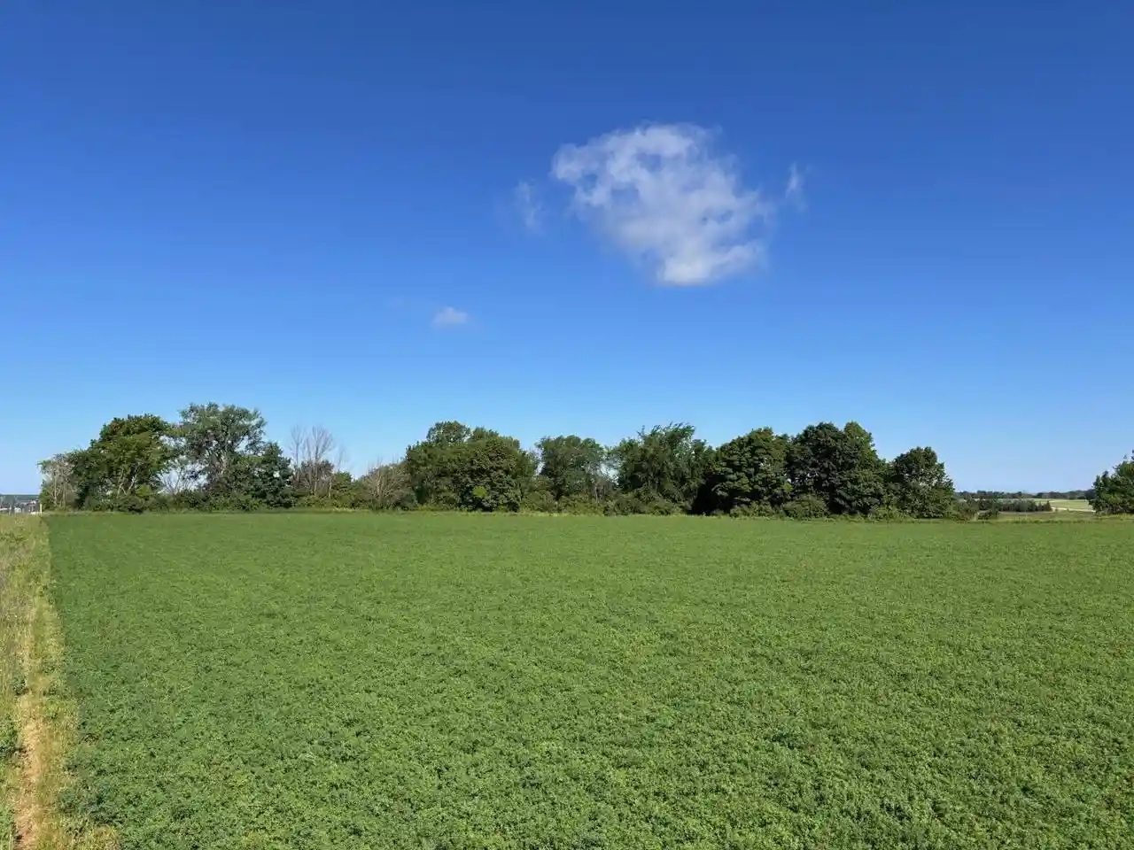 Homes for sale in Luxemburg, WI | E859 County Road S #Lt2, Luxemburg, WI 54217 | MLS# 1967121