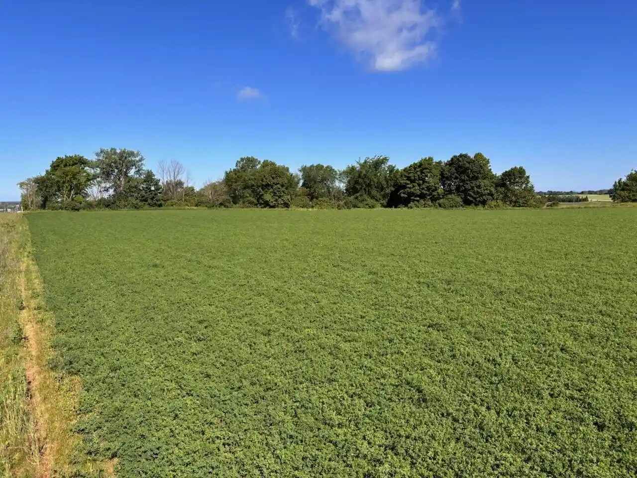Homes for sale in Luxemburg, WI | E859 County Road S #Lt2, Luxemburg, WI 54217 | MLS# 1967121