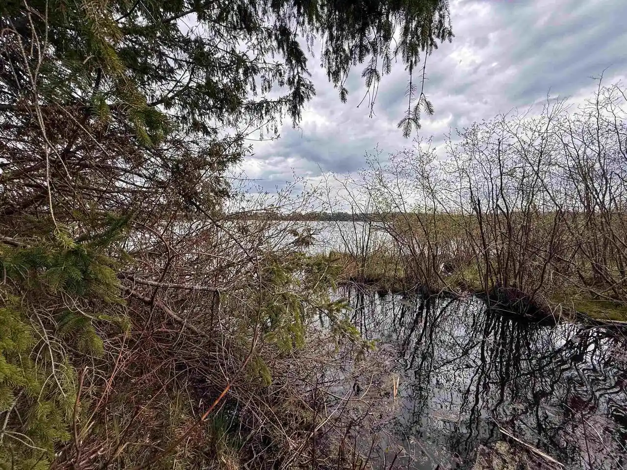 Homes for sale in Hatley, WI | 108 Acres Loon Bay Lane Lane, Hatley, WI 54440 | MLS# 22602682