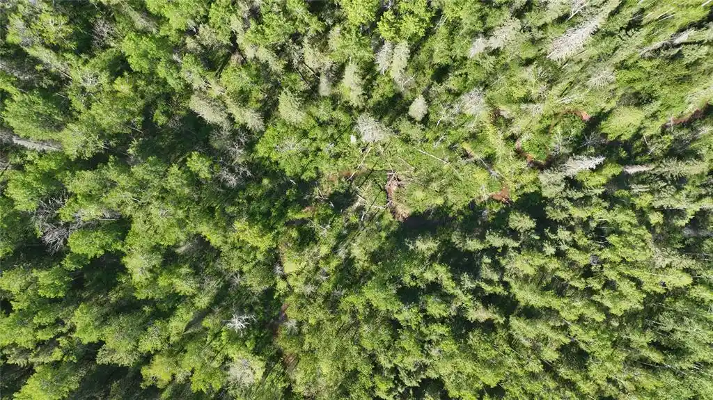 Photo 3 of Land for sale at 1640 County Rd W, Superior, WI 54880 | MLS# 1602205 | Listing updated on 2026-09-11