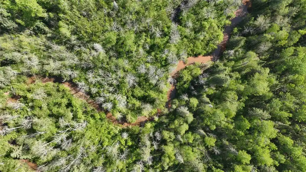 Photo 3 of Land for sale at 1640 County Rd W, Superior, WI 54880 | MLS# 1602205 | Listing updated on 2026-09-11