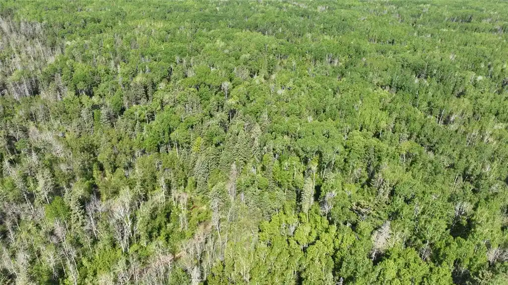 Photo 4 of Land for sale at 1640 County Rd W, Superior, WI 54880 | MLS# 1602205 | Listing updated on 2026-09-11