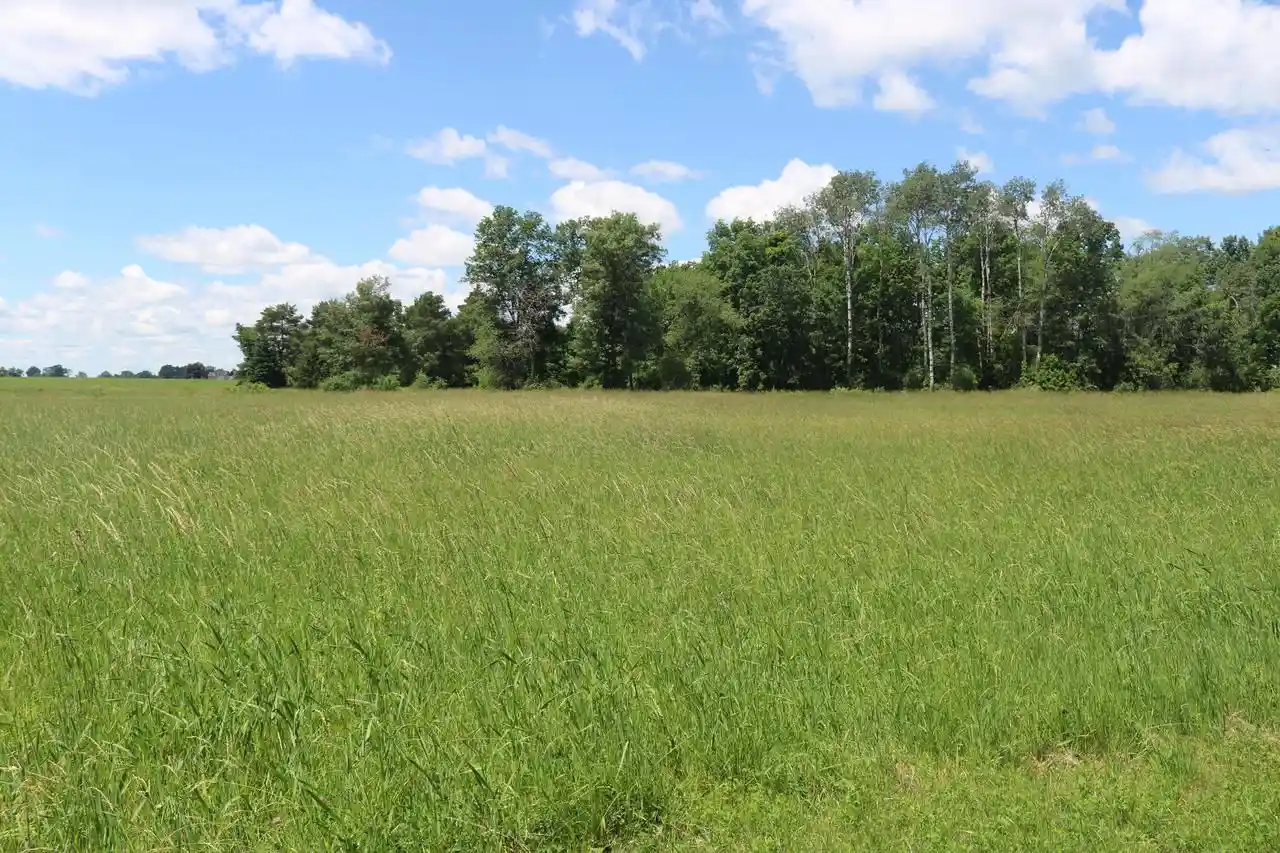 2nd image of Lt1 5 Mile Road Road, Watertown, WI 53098 | MLS# 1967307