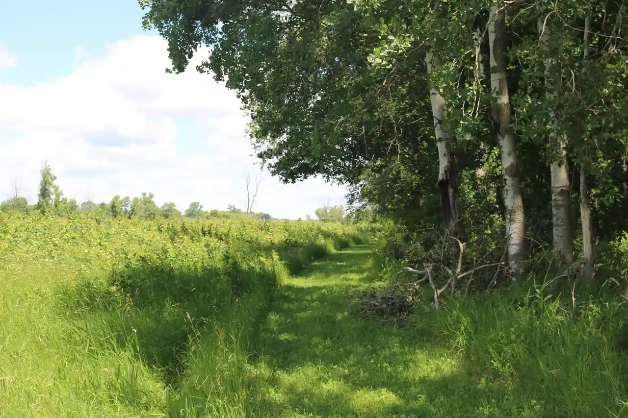 Photo 3 of Land for sale at Lt1 5 Mile Road Road, Watertown, WI 53098 | MLS# 1967307 | Listing updated on 2026-09-30