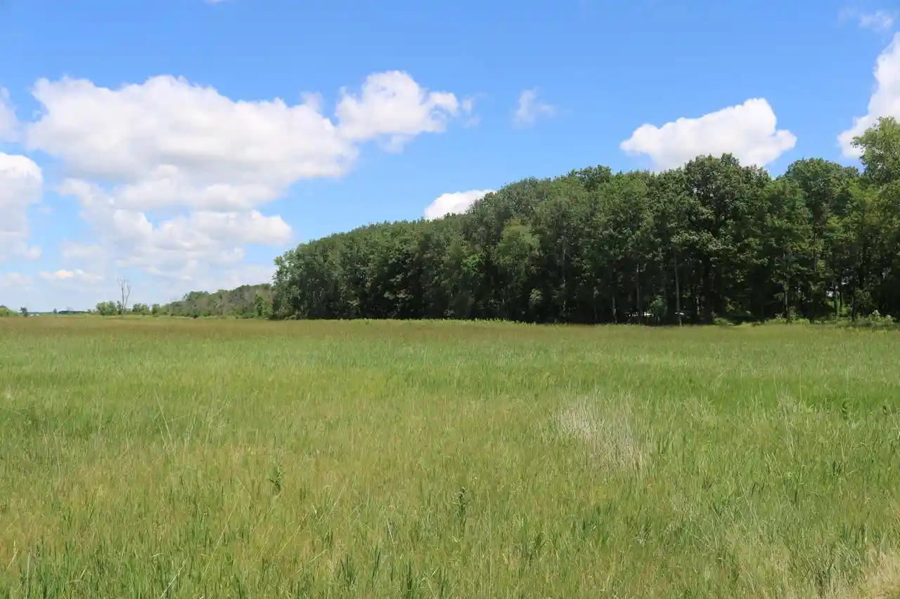 Photo 3 of Land for sale at Lt1 5 Mile Road Road, Watertown, WI 53098 | MLS# 1967307 | Listing updated on 2026-09-30