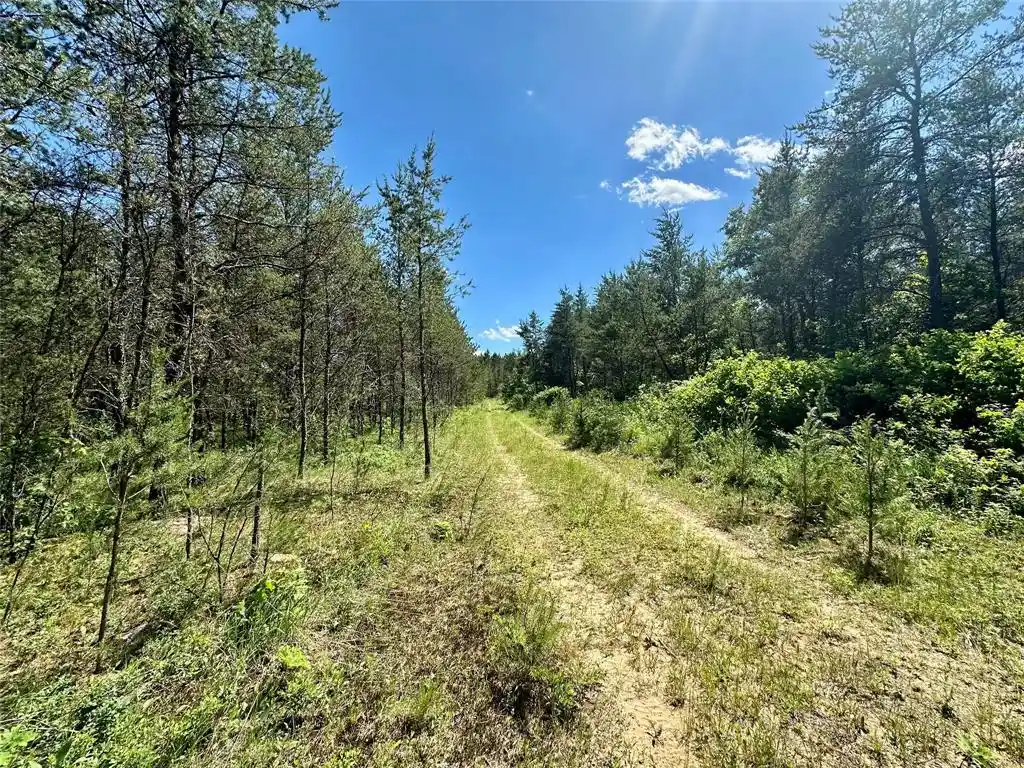Homes for sale in Augusta, WI | E20244 Cty Rd Gg, Augusta, WI 54722 | MLS# 1602250
