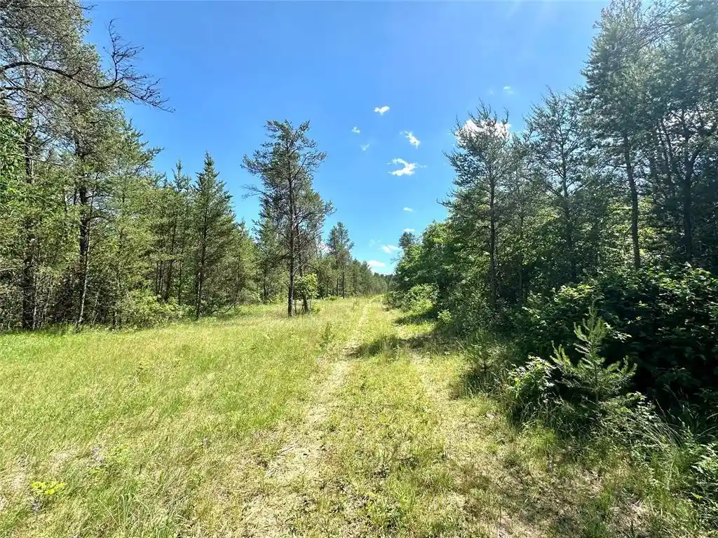 Homes for sale in Augusta, WI | E20244 Cty Rd Gg, Augusta, WI 54722 | MLS# 1602250
