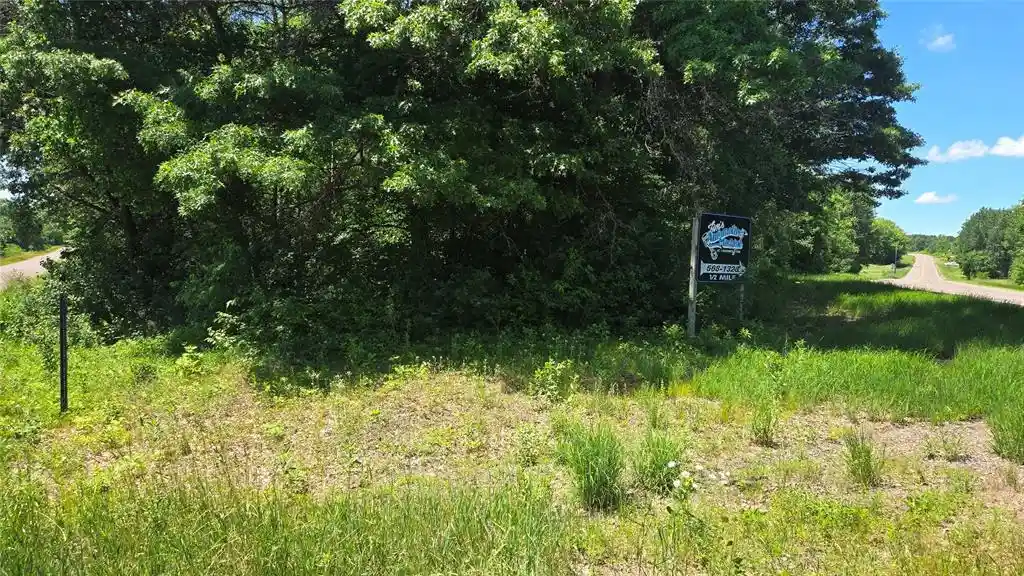 Homes for sale in Bloomer, WI | (Undisclosed), Bloomer, WI 54724 | MLS# 1602248