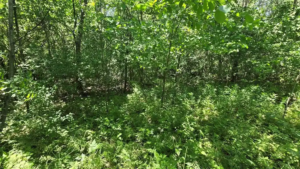 Homes for sale in Bloomer, WI | (Undisclosed), Bloomer, WI 54724 | MLS# 1602248