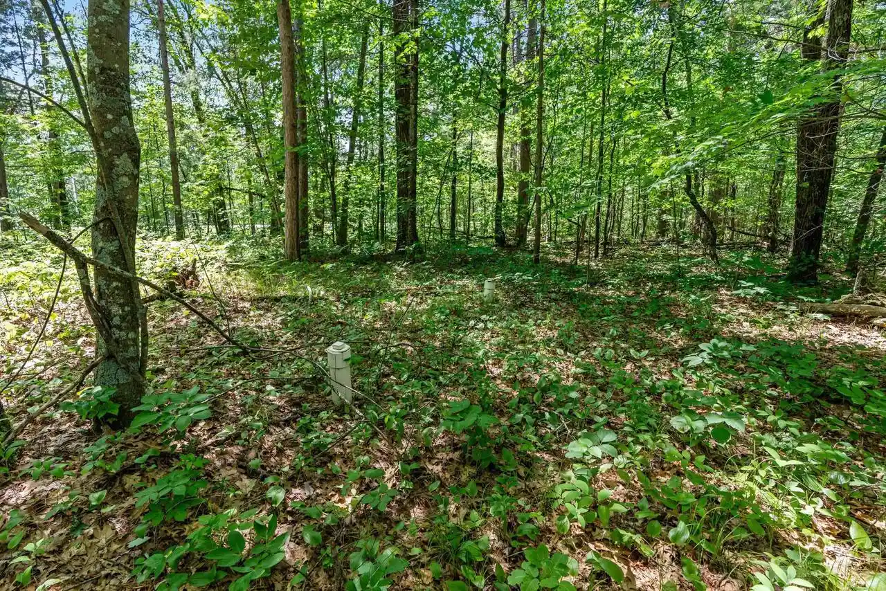 Photo 3 of Land for sale at N1197 Spirit Island Trail Trail, Keshena, WI 54135 | MLS# 50327401 | Listing updated on 2026-06-23