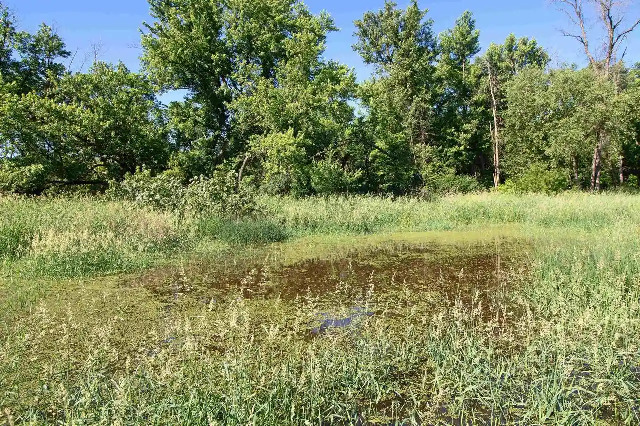 Homes for sale in Lone Rock, WI | 1028 Acres State Hwy 60, Lone Rock, WI 53556 | MLS# 2025874
