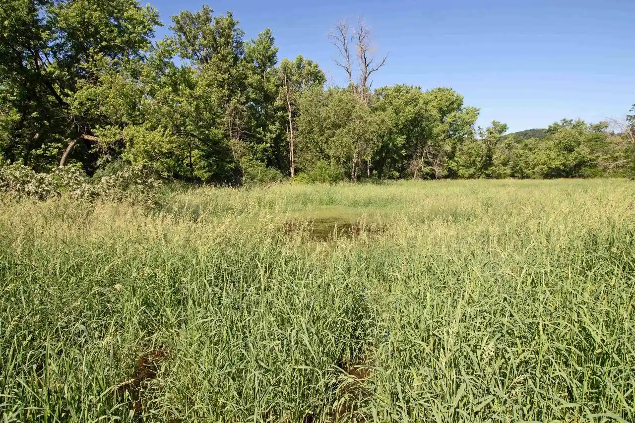 Homes for sale in Lone Rock, WI | 1028 Acres State Hwy 60, Lone Rock, WI 53556 | MLS# 2025874