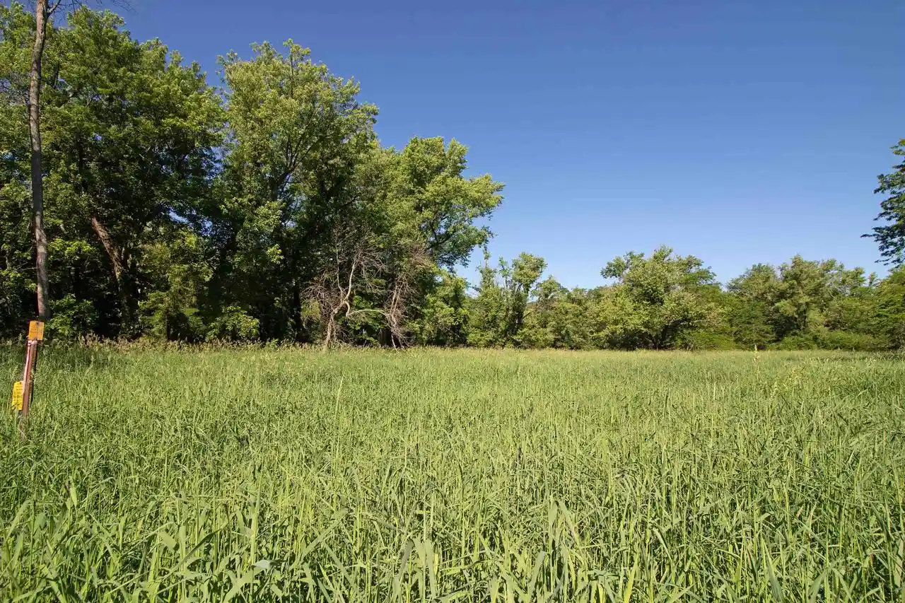Homes for sale in Lone Rock, WI | 1028 Acres State Hwy 60, Lone Rock, WI 53556 | MLS# 2025874