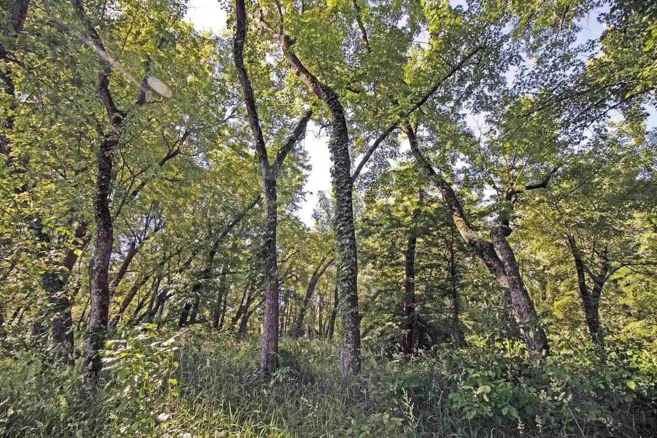 Homes for sale in Lone Rock, WI | 1028 Acres State Hwy 60, Lone Rock, WI 53556 | MLS# 2025874
