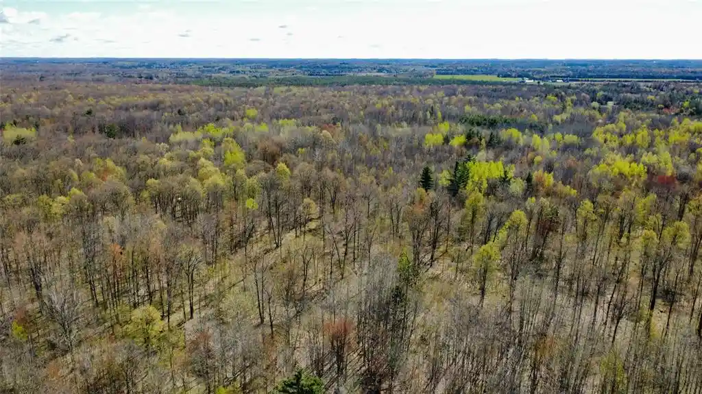 Homes for sale in Ringle, WI | 000 Boundary Road Road, Ringle, WI 54471 | MLS# 1601974