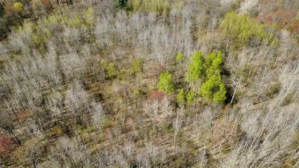 Homes for sale in Ringle, WI | 000 Boundary Road Road, Ringle, WI 54471 | MLS# 1601974